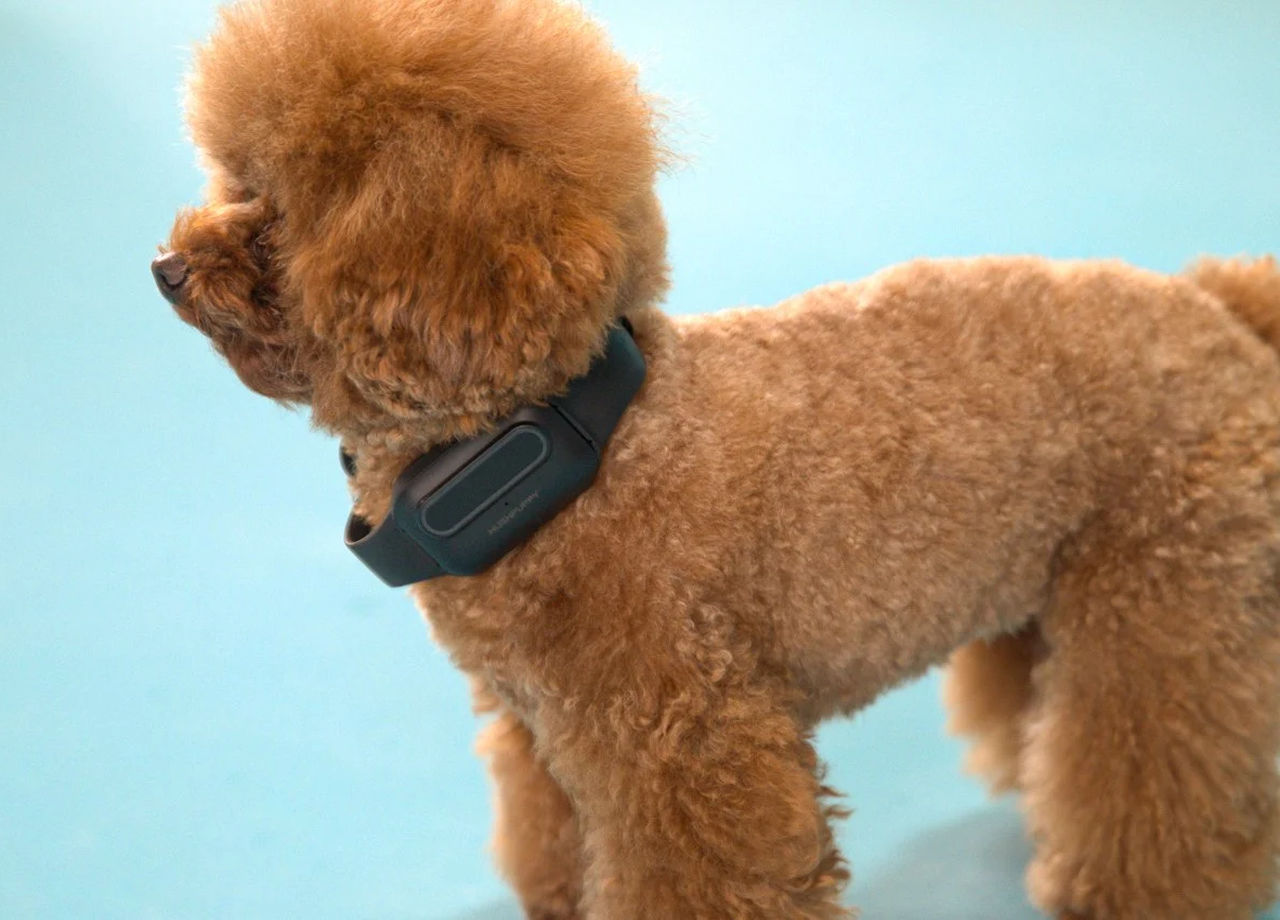 HushPuppy Dog Bark Collar has user-friendly battery operation