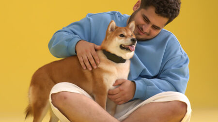 World's First AI Dog Bark E-Collar: HushPuppy by Onchip AI