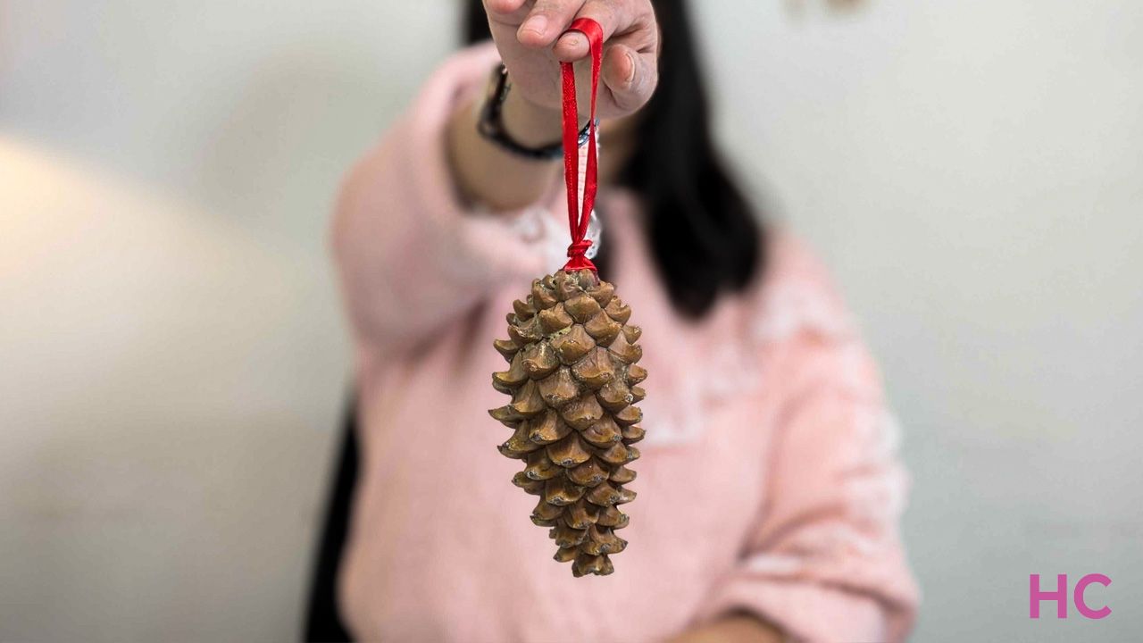 DIY Christmas Tree Ornaments - Pinecone ornament