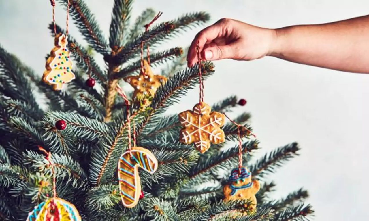 Edible Biscuits Tree Decoration