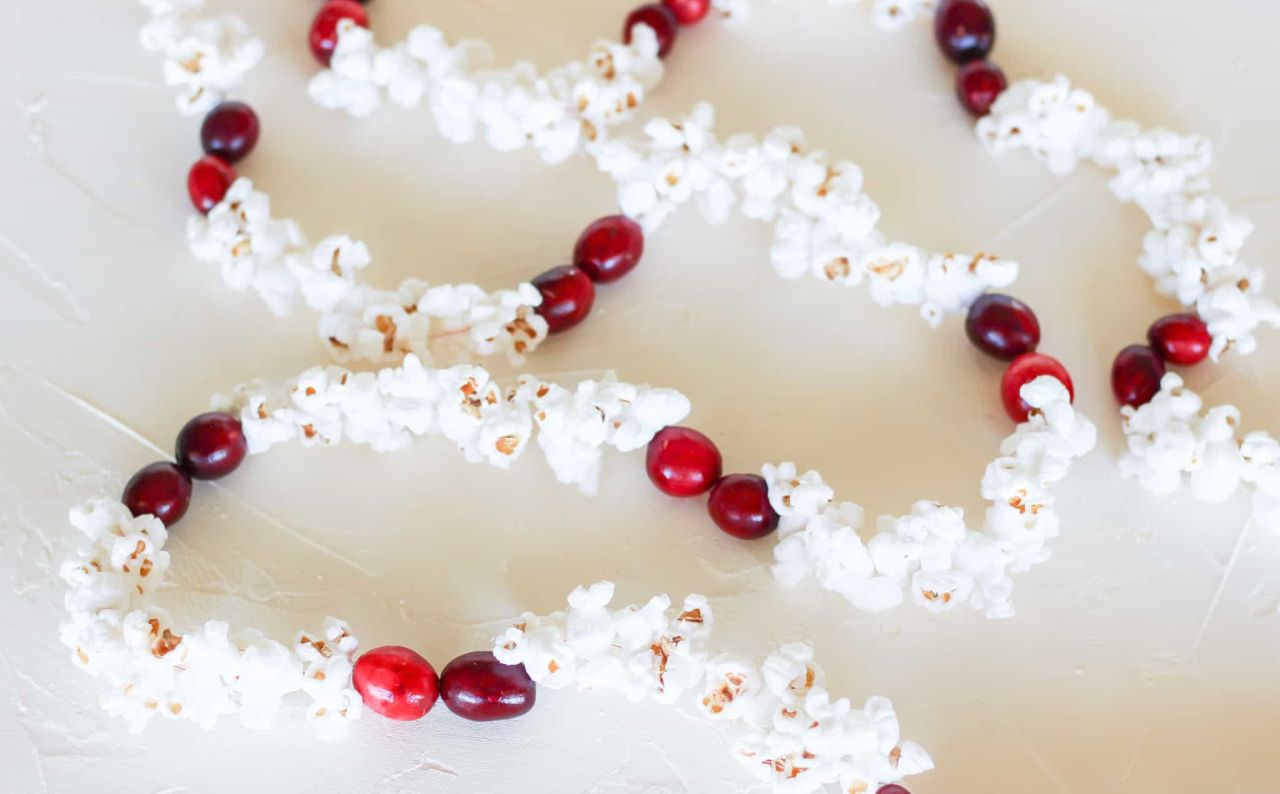 Popcorn Christmas garland with cranberries