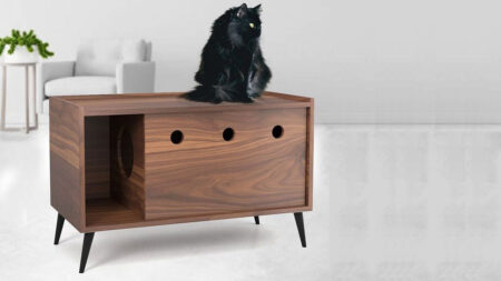 Sandbox With Vintage Trunk Design is a Spill-Proof Cat Litter Box