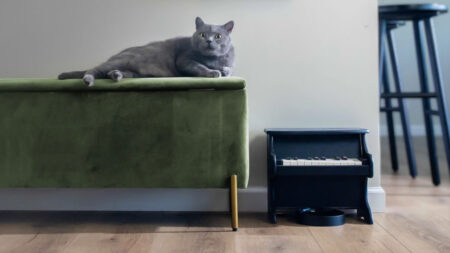 Pet Piano for Cats