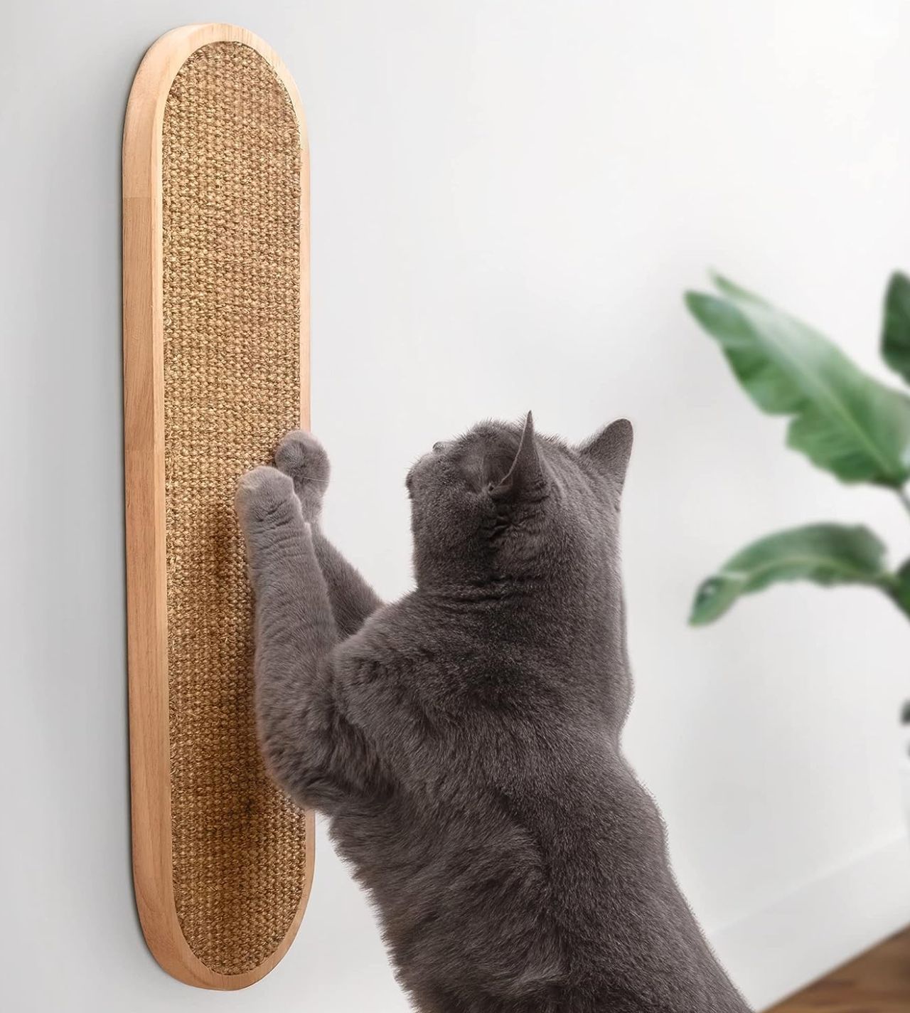 Ruby Road Wall Mounted Cat Scratcher 