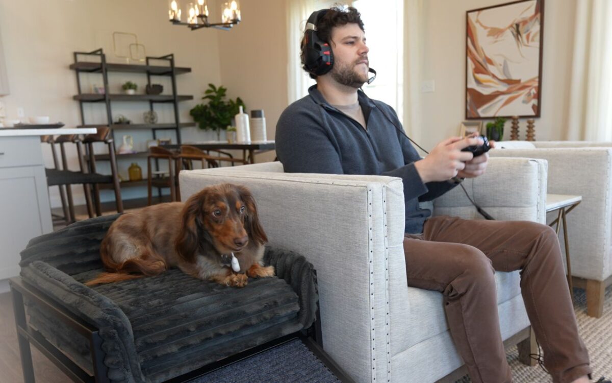 SeatMate Pet Office Chair With a Ramp is Throne for Your Pal