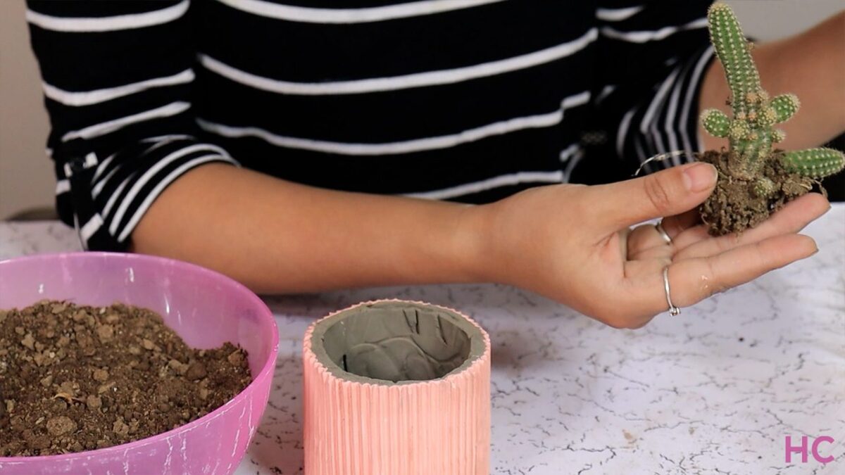 How to Make a Ribbed Concrete Planter for Tabletop Décor?