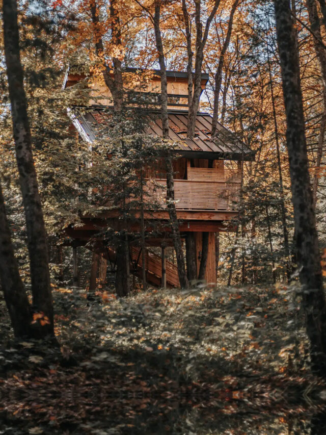 This Treehouse is One of Most Amazing Eco Stays in Canada