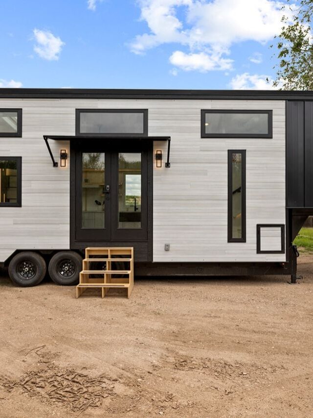 Cat-Friendly Tiny House is Packed With Playful Features