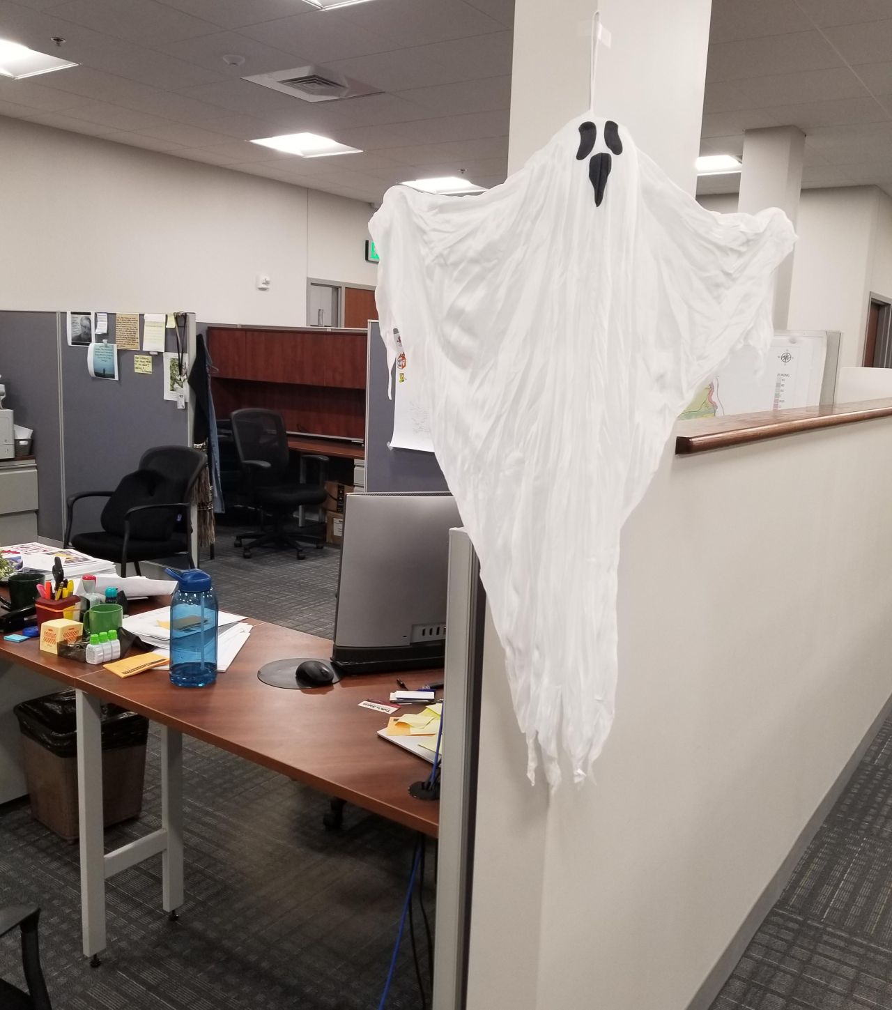 Simply adding a hanging spooky ghost to your cubicle can do for Halloween vibe