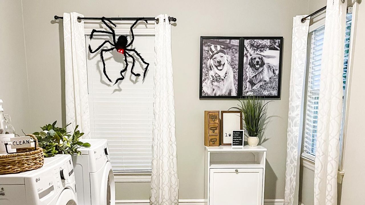 Best Halloween Decoration Ideas - giant spider inside