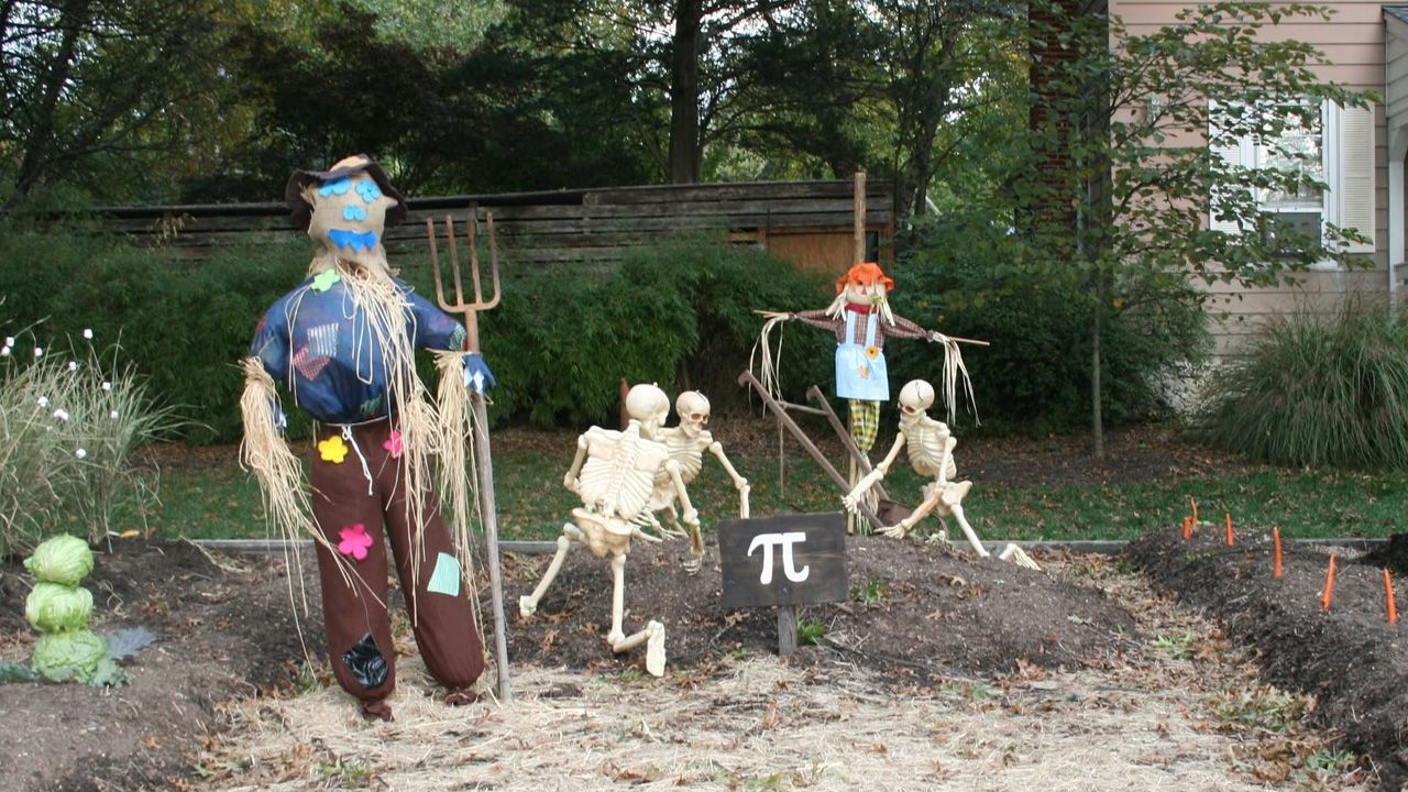 Best Outdoor Skeleton Halloween Decorations - Burial Patch