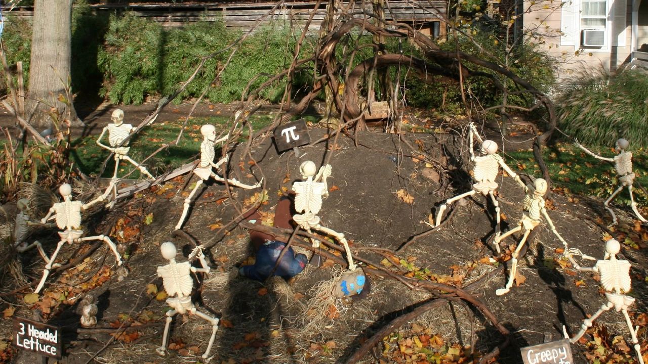 Best Outdoor Skeleton Halloween Decorations - Taming of the monster tree