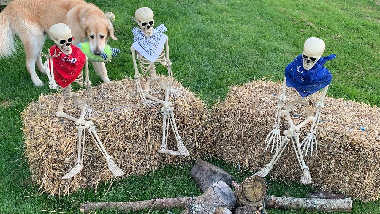 Best Outdoor Skeleton Halloween Decorations - bonfire arrangement