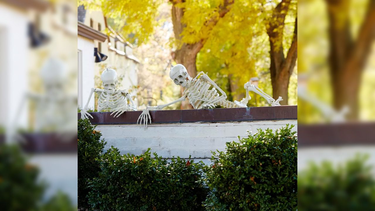 Best Outdoor Skeleton Halloween Decorations - prison break with skeletons