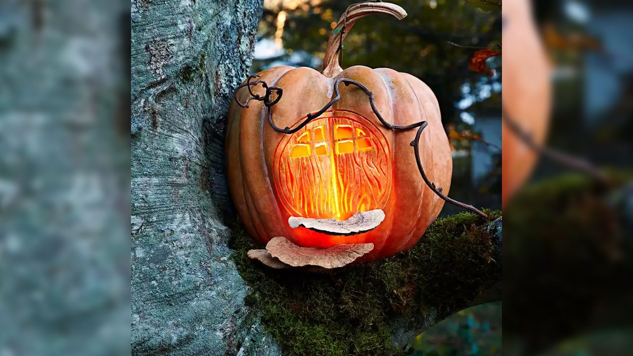 Halloween Decoration Ideas for Outdoor Trees - Fairy House on the Tree