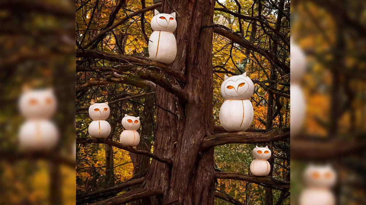 Halloween Decoration Ideas for Outdoor Trees - Pumpkin Owls