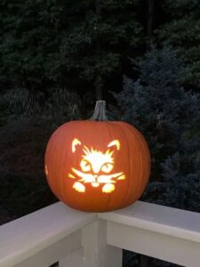 cat with mustache pumpkin carving pattern for Halloween web story-homecrux-1