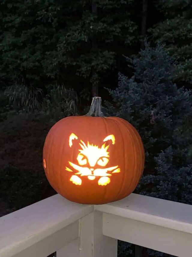 Cat Themed Pumpkin Carving Ideas for Halloween