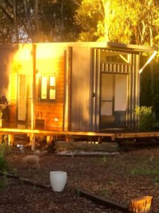 tiny house rental with bower birds in australia-1