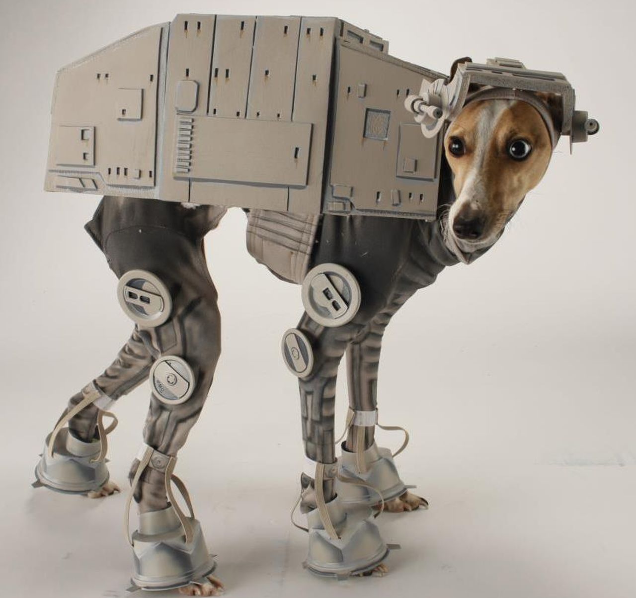 Star wars Dog Costume
