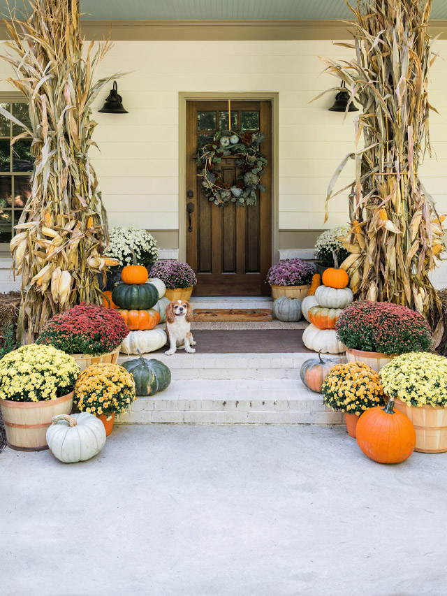 11 Interesting Ways to Use Pumpkins for Halloween Décor