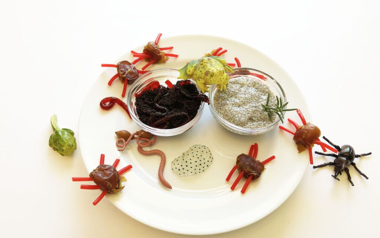 jelly worms and edible cockroaches