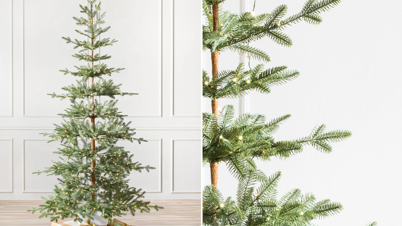 Alpine Balsam Fir Christmas Tree