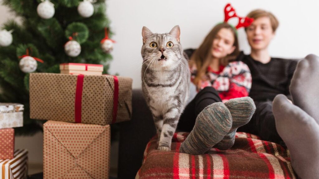 Best Christmas Gifts for Cat Lovers - Featured