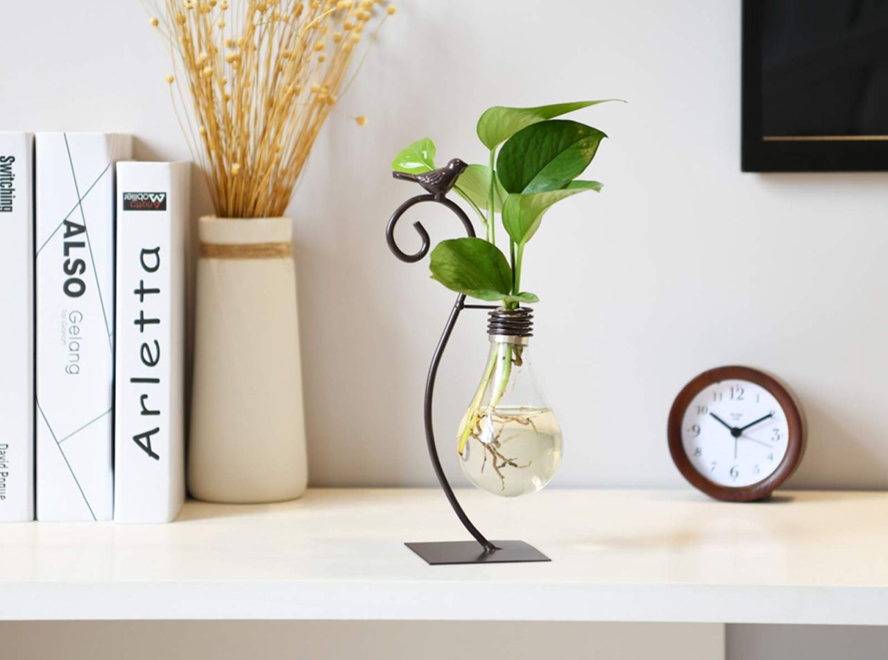 Marbrasse Desktop Glass Planter