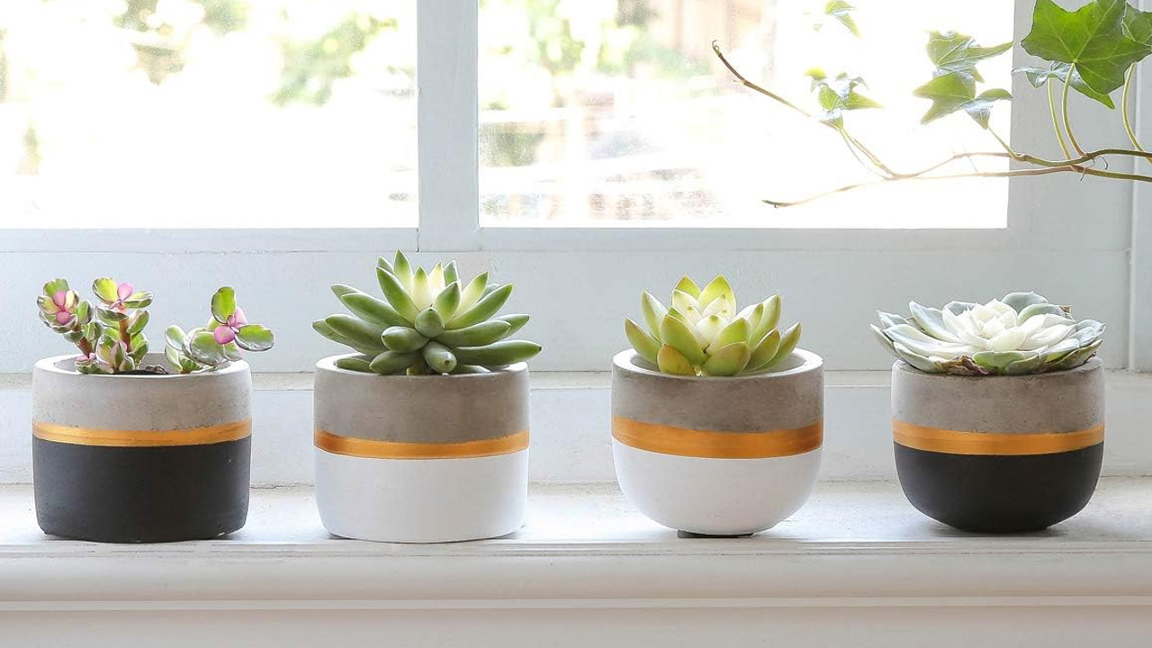 Mini Concrete Plant Pot for Succulents