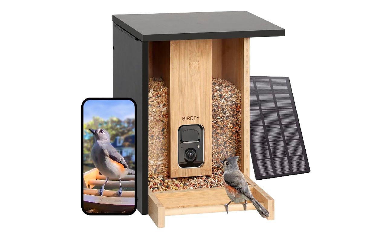 NETVUE by Birdfy Upgraded Smart Bird Feeder