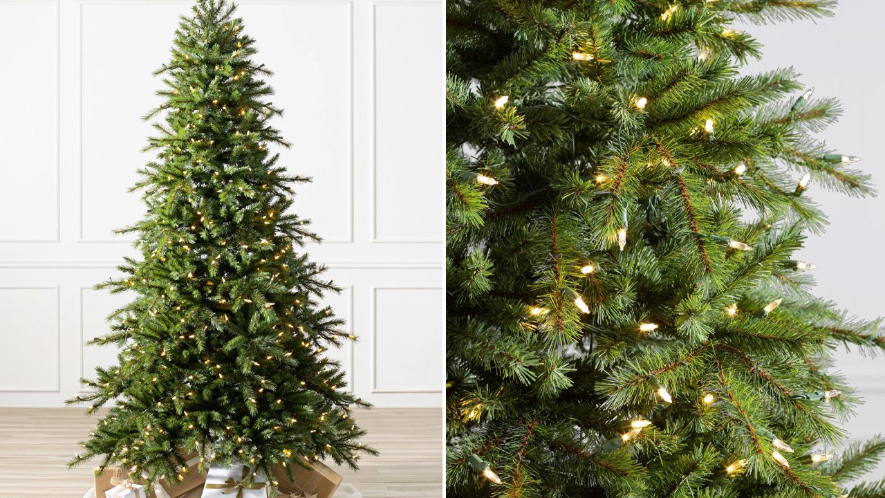 Norwegian Grand Fir Christmas Tree