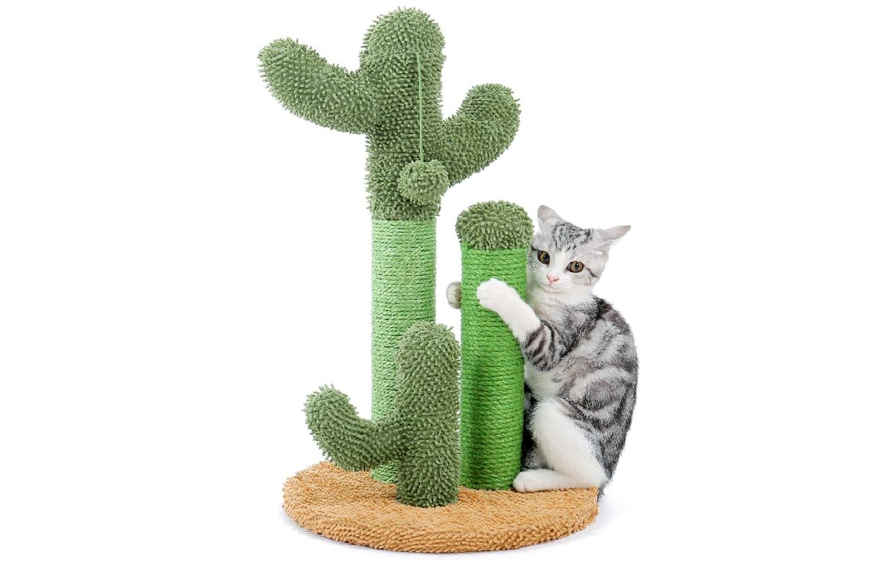 PAWZ Road Cactus Cat Scratcher Post