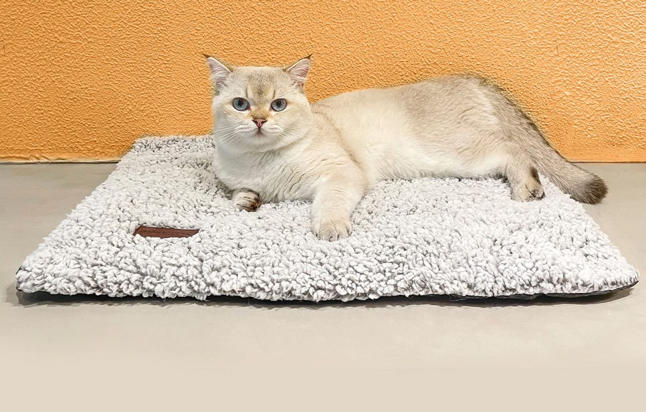 Self-Warming Cat Bed Self
