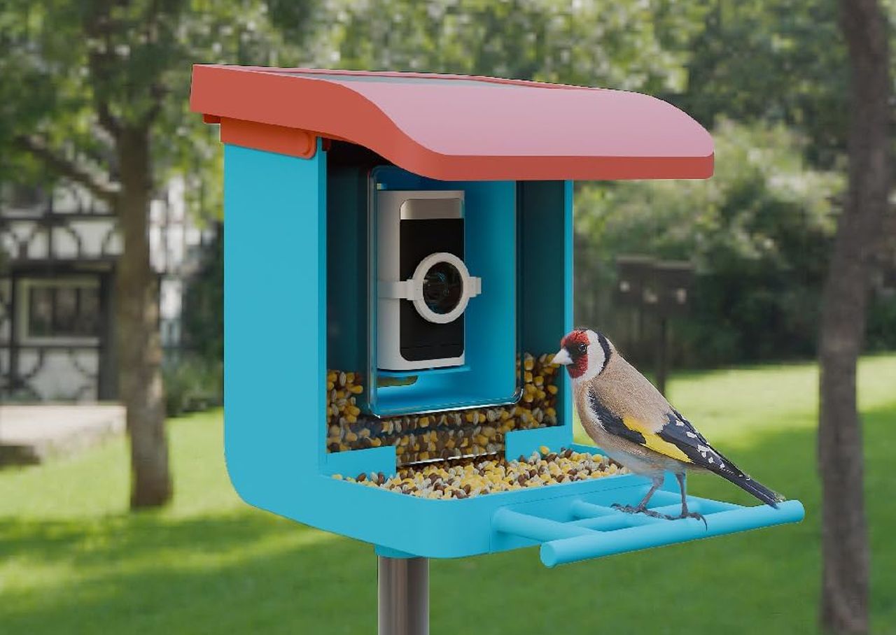 Wyze Smart Bird Feeder Camera