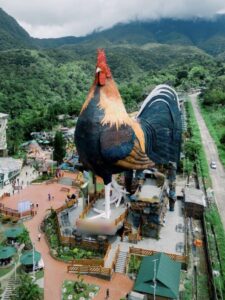 Unique Rooster Shaped Hotel In Philippines-6