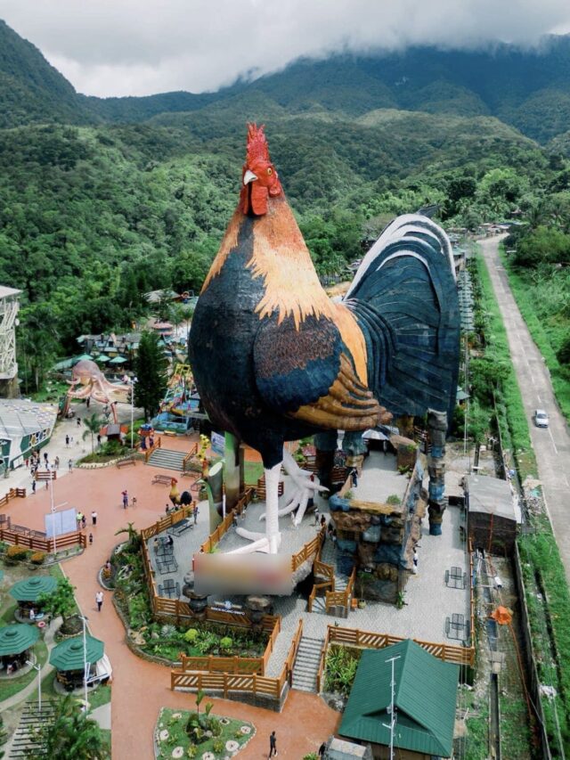 Would You Stay Overnight in This Rooster-Shaped Hotel?