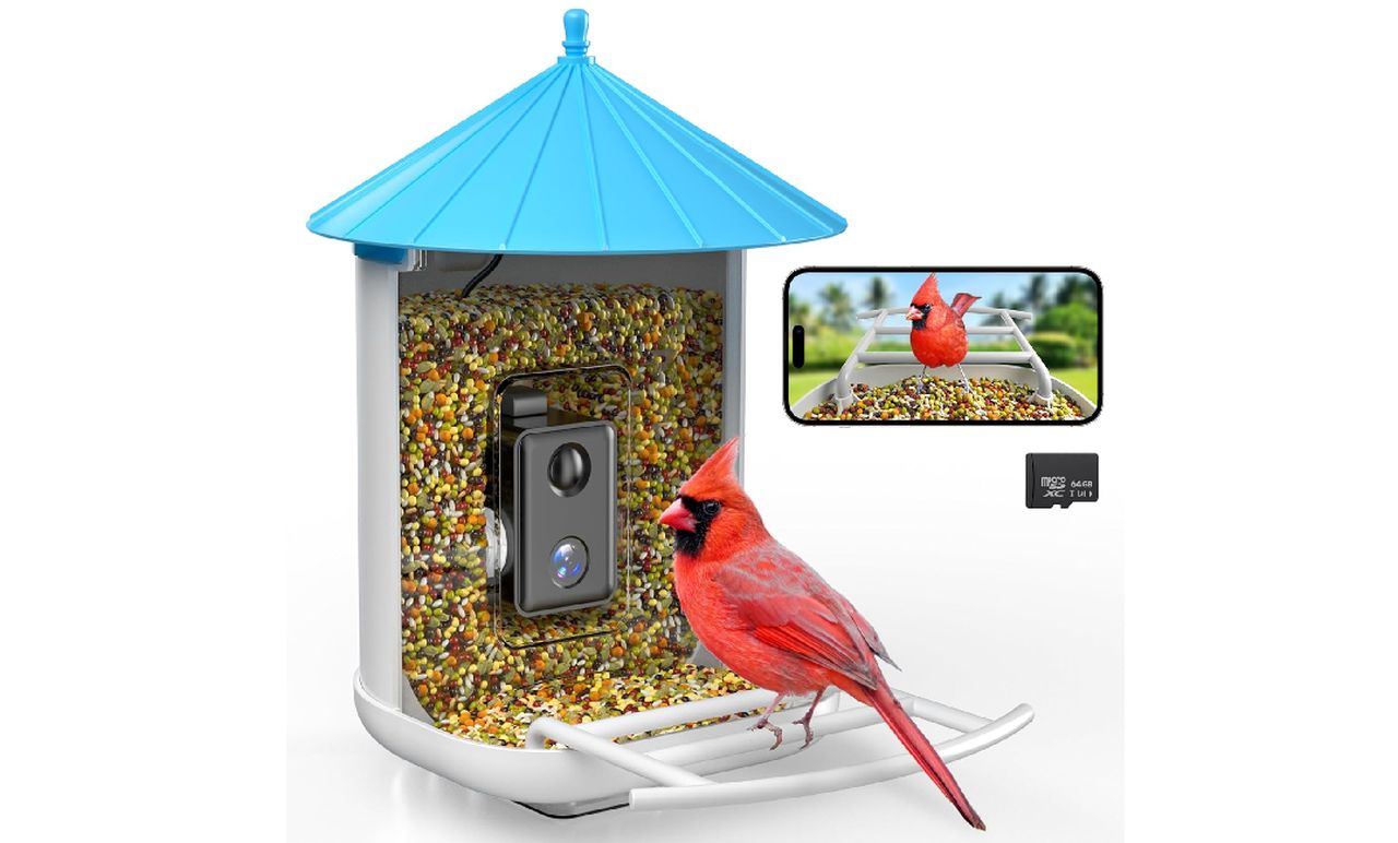 isYoung Smart Bird Feeder with Camera