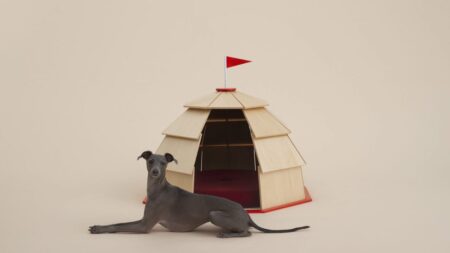 Architecture for Dogs exhibition at ADI Design Museum