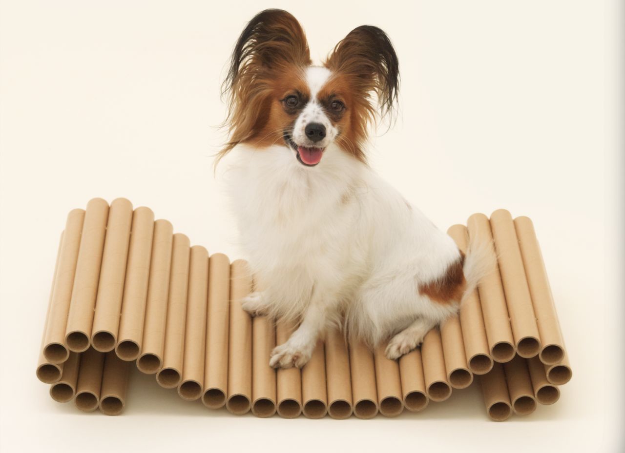 Architecture for Dogs exhibition at ADI Design Museum 