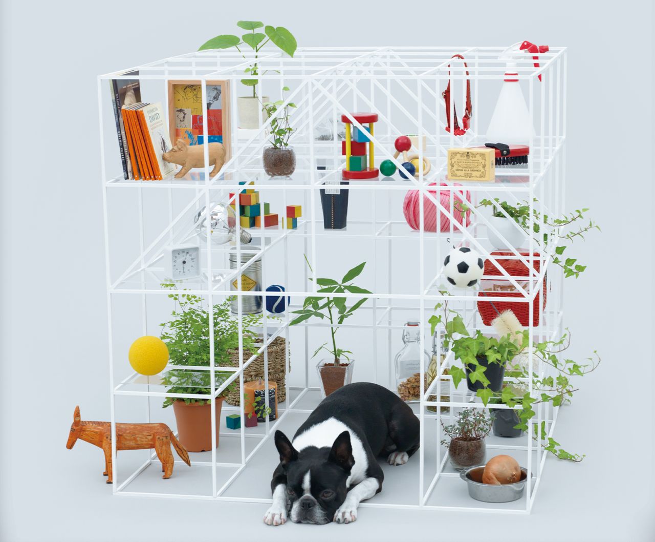 Architecture for Dogs exhibition at ADI Design Museum 