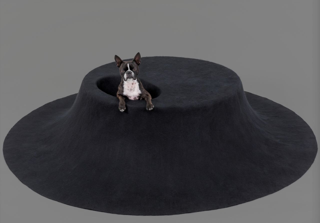 Architecture for Dogs exhibition at ADI Design Museum 