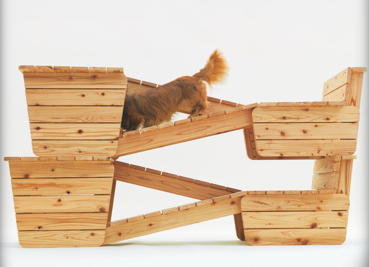 Architecture for Dogs exhibition at ADI Design Museum 