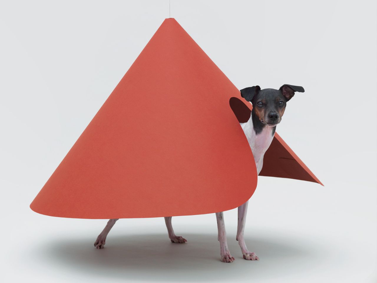 Architecture for Dogs exhibition at ADI Design Museum 