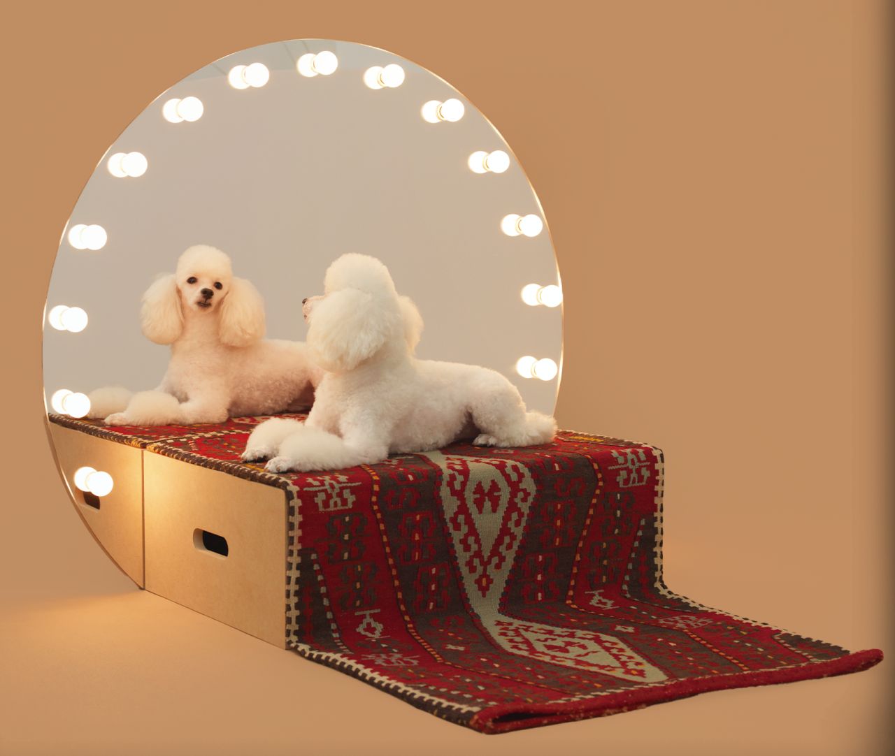 Architecture for Dogs exhibition at ADI Design Museum 