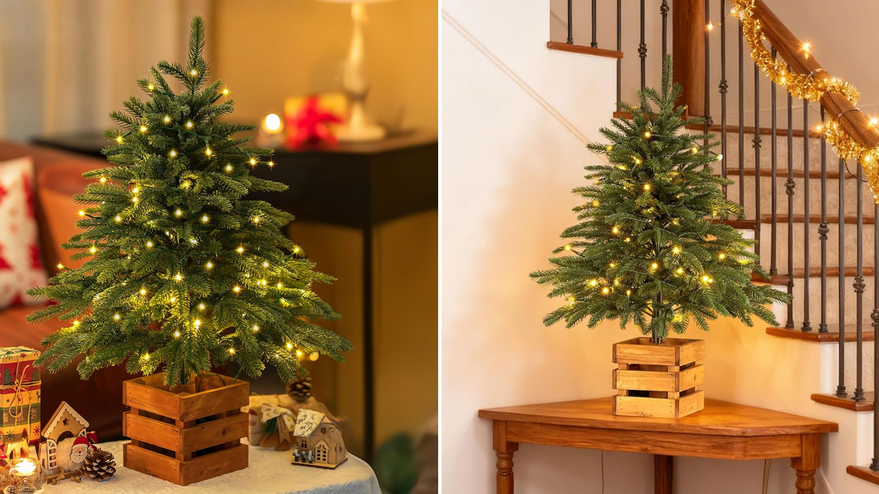 BLOSMON Christmas Norfolk Pine Tree