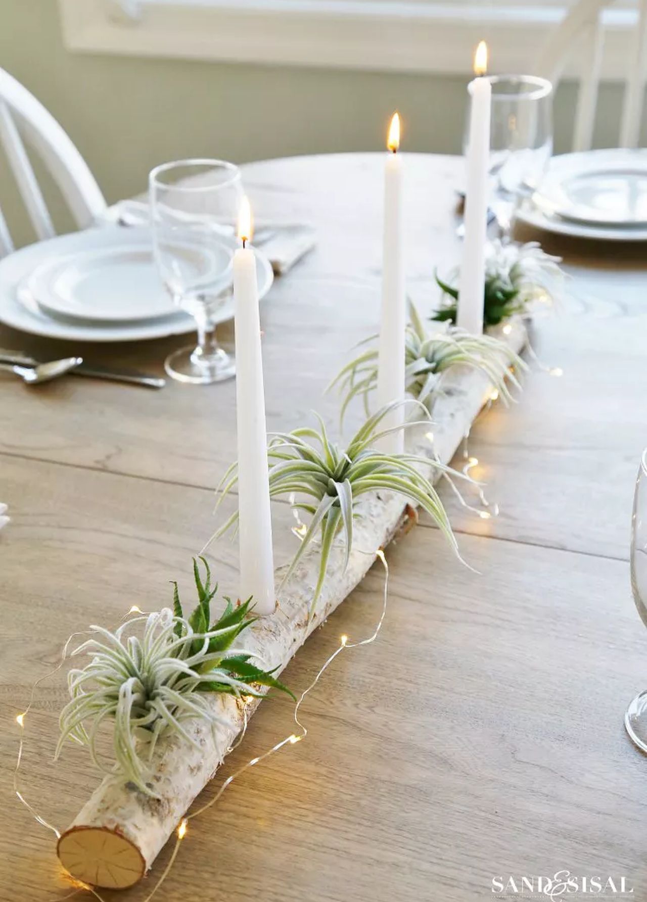 Birch Log Candle Holder With Succulents- 1