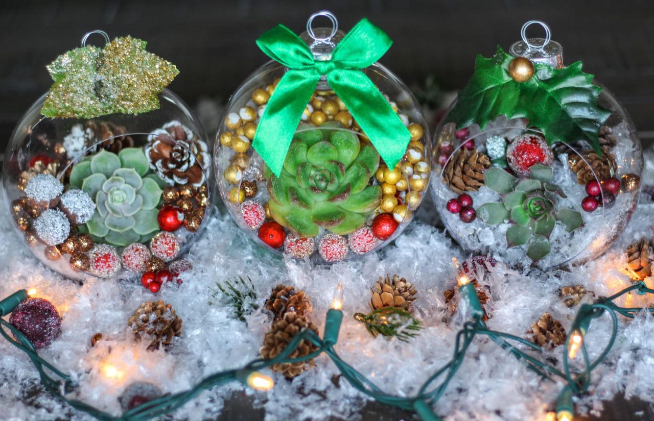 Christmas Ornaments with Live Succulents
