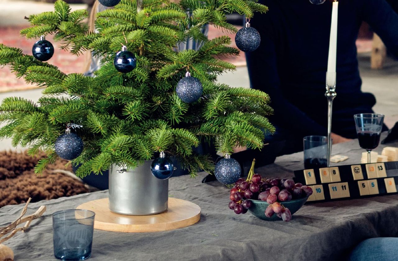 Christmas Tree Stand