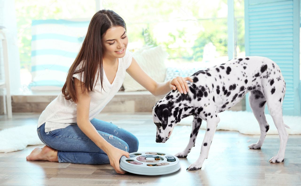 Dog Food Puzzle Feeder
